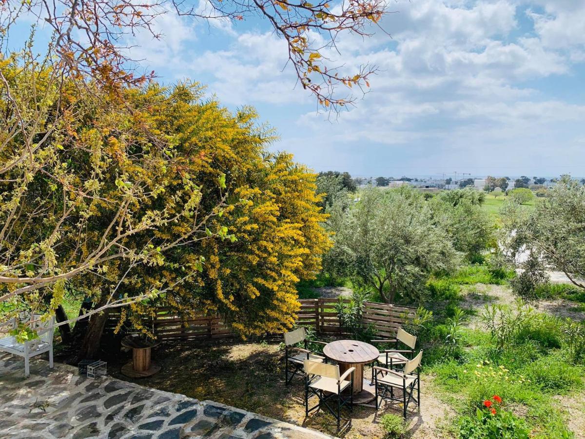 Villa Arietta Santorini Perissa  Zewnętrze zdjęcie